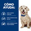 10 kg Hill's Prescription Diet Diabetes Care w/d Pollo pienso para perros, , large indicador imagen numero 4
